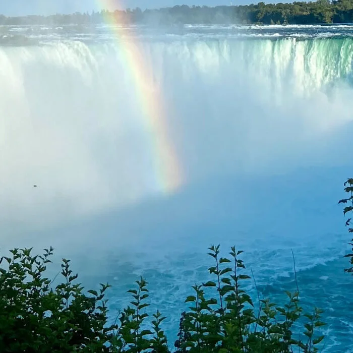 Exploring Niagara