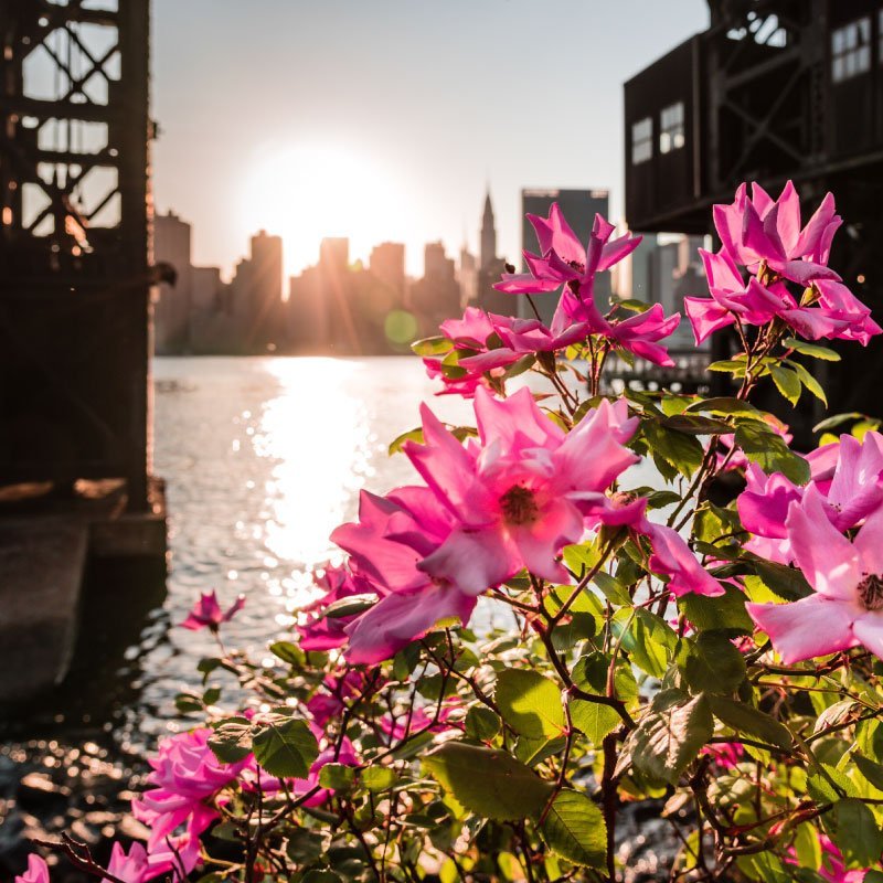 Adventures and Nature in New York - Gantry Plaza