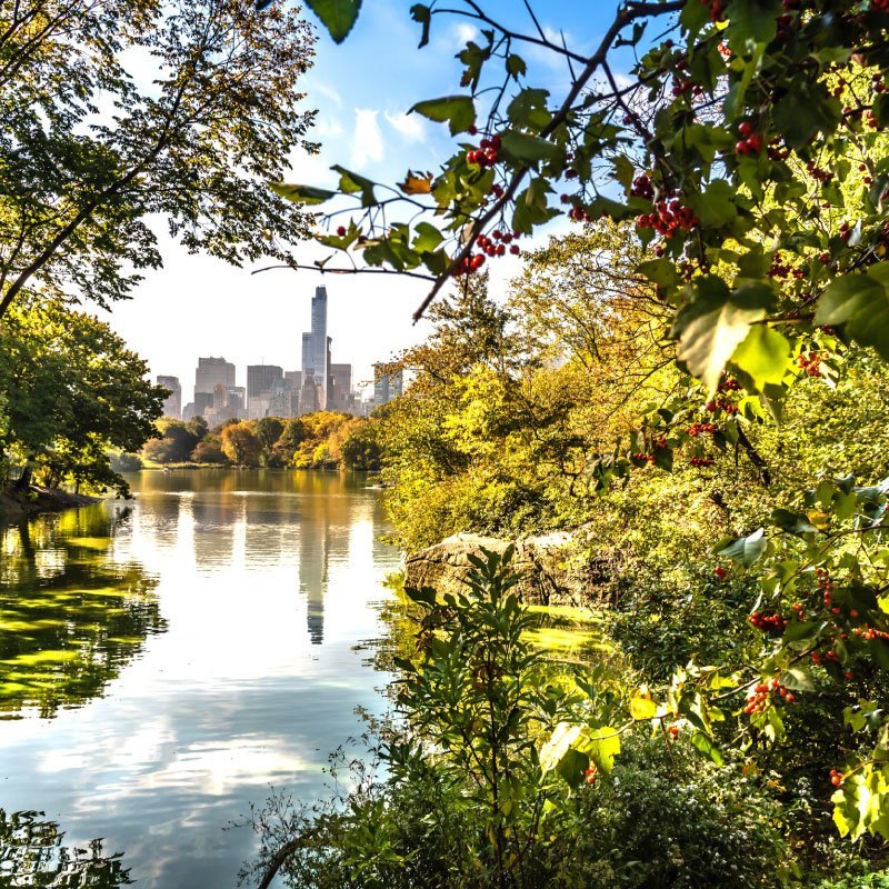 Aventuras y Naturaleza en Nueva York